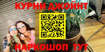 стафф Старая Купавна