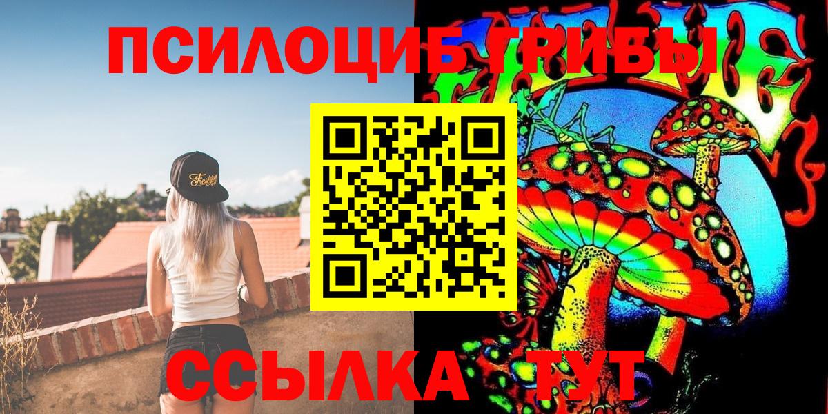 Черногорск  Псилоцибиновые грибы Cubensis  Псилоцибиновые грибы Cubensis  Вход с VPN 