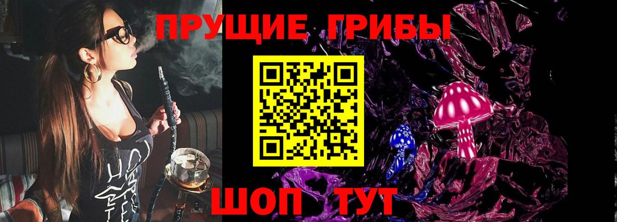 Галлюциногенные грибы мухоморы  Черногорск  купить закладку  Галлюциногенные грибы мухоморы 